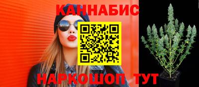 трава Пыть-Ях