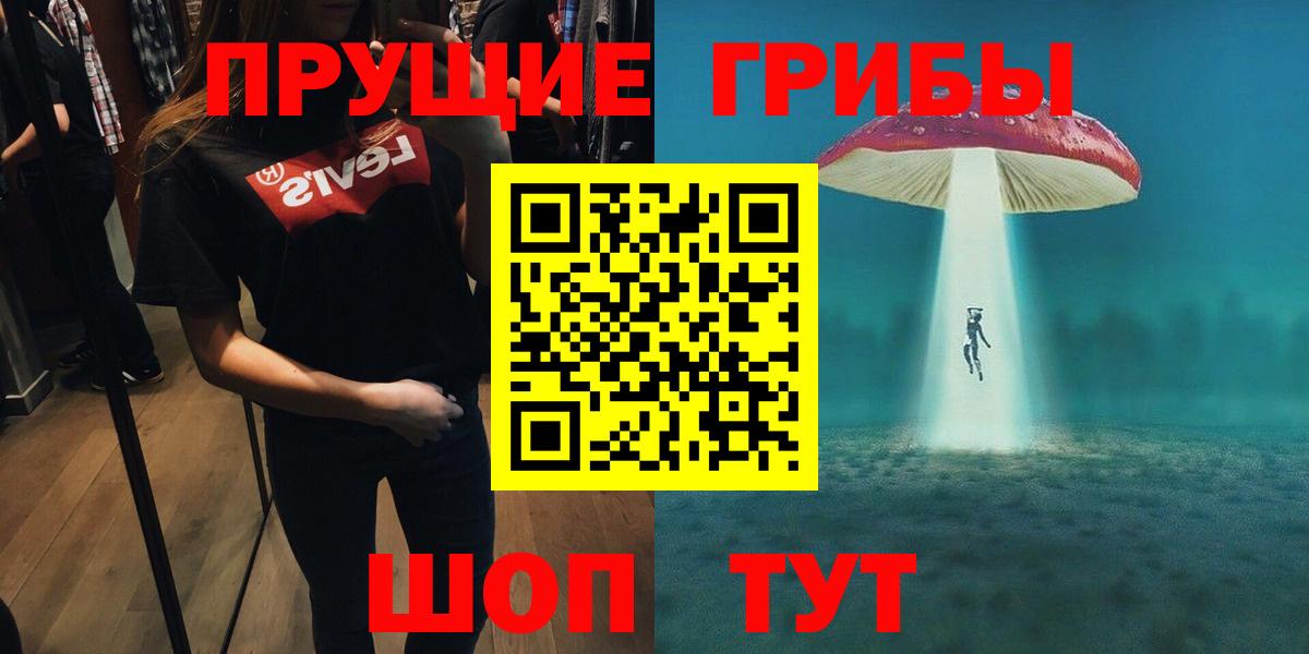 где найти   Галлюциногенные грибы Psilocybine cubensis  Вход с VPN  Сальск  Псилоцибиновые грибы прущие грибы 